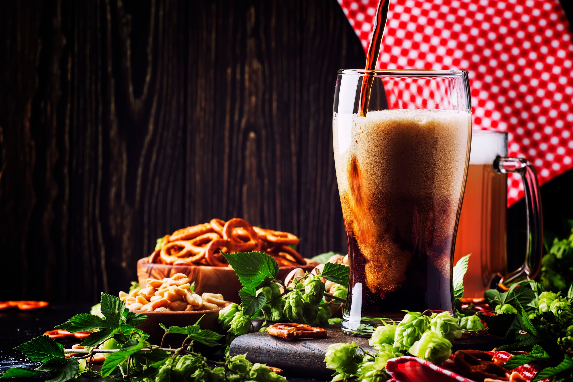 Dark German beer is poured into a glass, fresh green hops and bowls with salty snacks